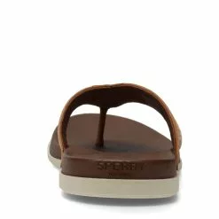 Men's Sperry, Plushwave Thong Sandal 13 Men's Sperry, Plushwave Thong Sandal -Shoes Sales 2023 1 2204947 ZM 4
