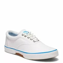 Men's Sperry, Halyard CVO Sneaker