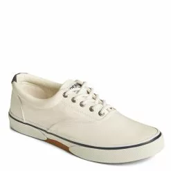 Men's Sperry, Halyard CVO Sneaker