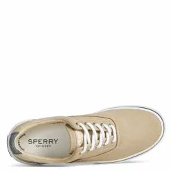 Men's Sperry, Halyard CVO Sneaker -Shoes Sales 2023 1 2265646 ZM 5