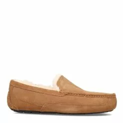 Men's Ugg, Ascot Slipper - Wide Width -Shoes Sales 2023 1 2307296 ZM 1